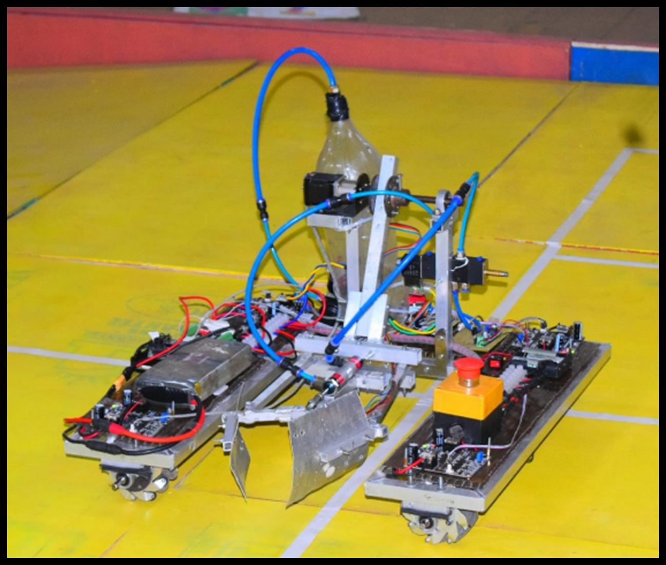 2024 Bot 2